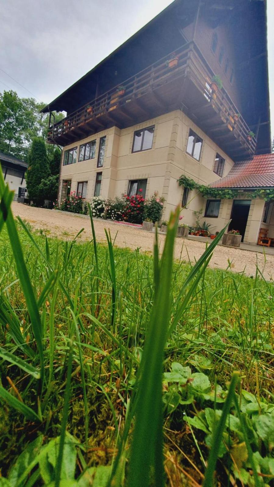 برانْ Pensiunea Belvedere المظهر الخارجي الصورة