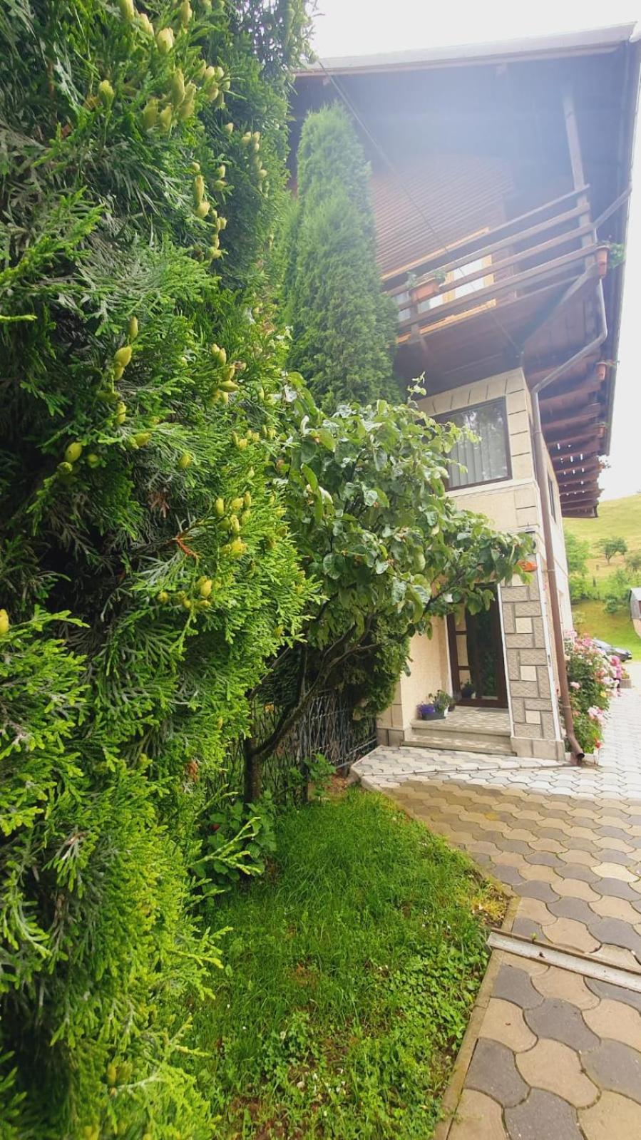برانْ Pensiunea Belvedere المظهر الخارجي الصورة
