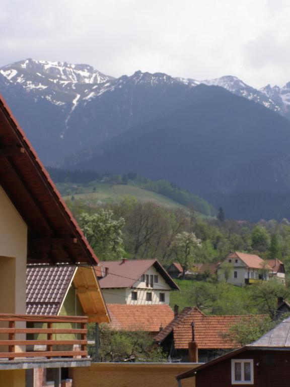 برانْ Pensiunea Belvedere المظهر الخارجي الصورة